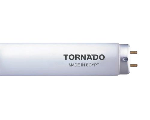 TORNADO Daylight Fluorescent Lamp 20 Watt, 60 cm, White Light FL20T9/19D(T)